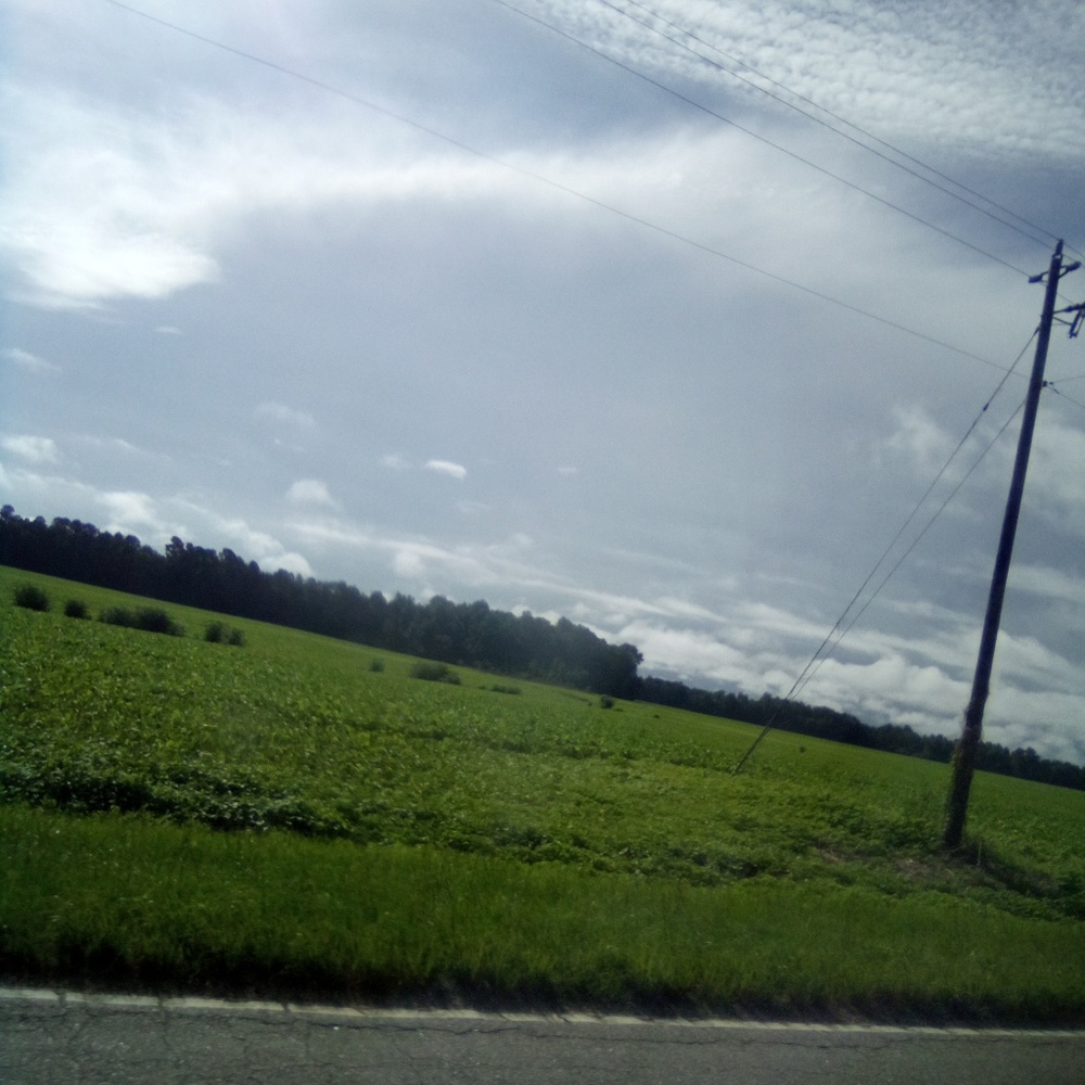 Meet your Posher, River